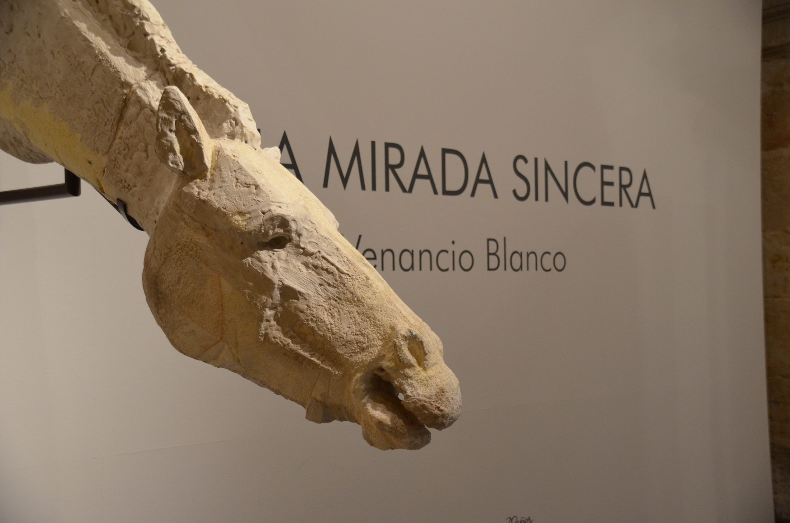 Rocinante en escayola. Exposición Una Mirada Sincera. Venancio Blanco. Enero - Junio 2022. Sala de exposiciones Santo Domingo de la Cruz, Salamanca