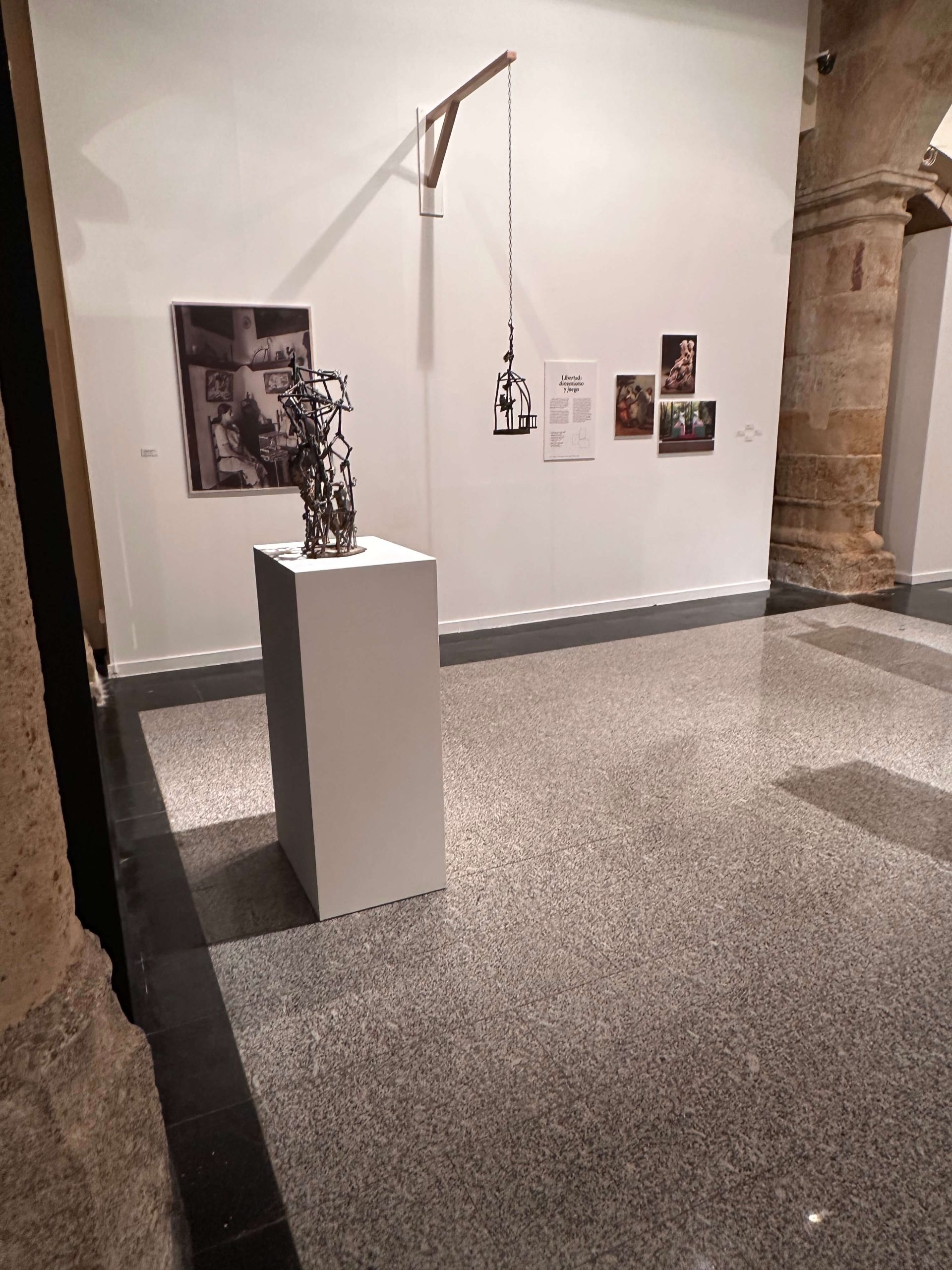 Flamenco y Jaula. Latencia de realismo. Venancio Blanco. Julio 2025 – Enero 2026. Sala de Exposiciones Santo Domingo de la Cruz, Salamanca