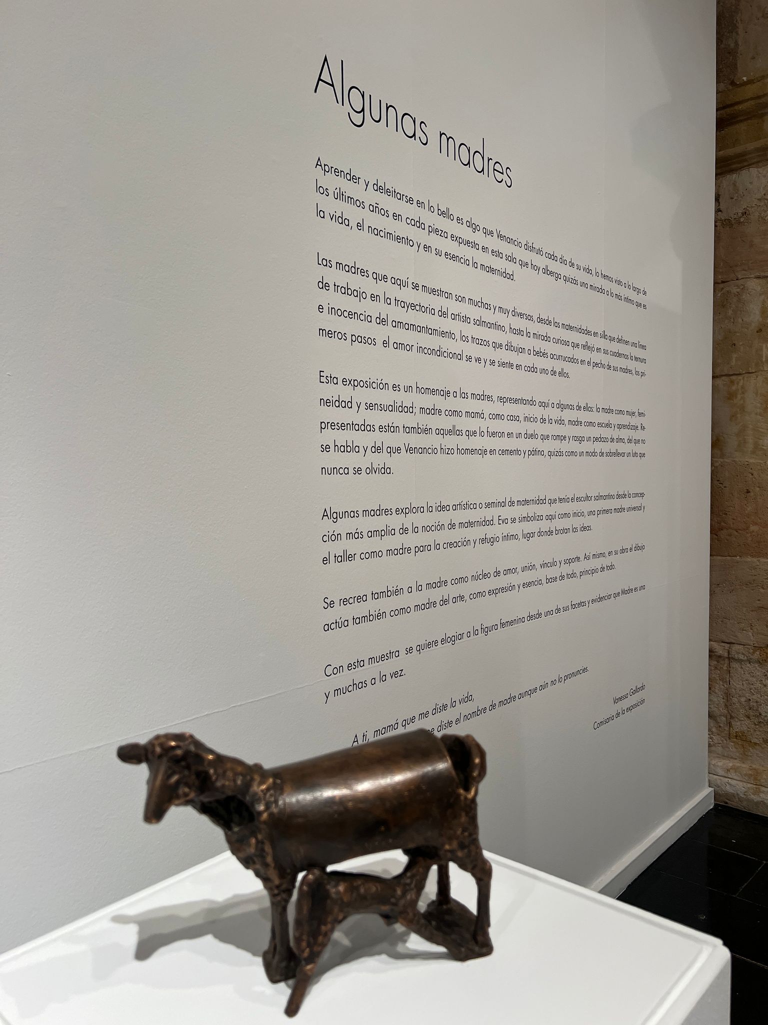 Oveja y cordero. Algunas Madres. Venancio Blanco. Febrero - Julio 2025. Sala de Exposiciones Santo Domingo de la Cruz, Salamanca